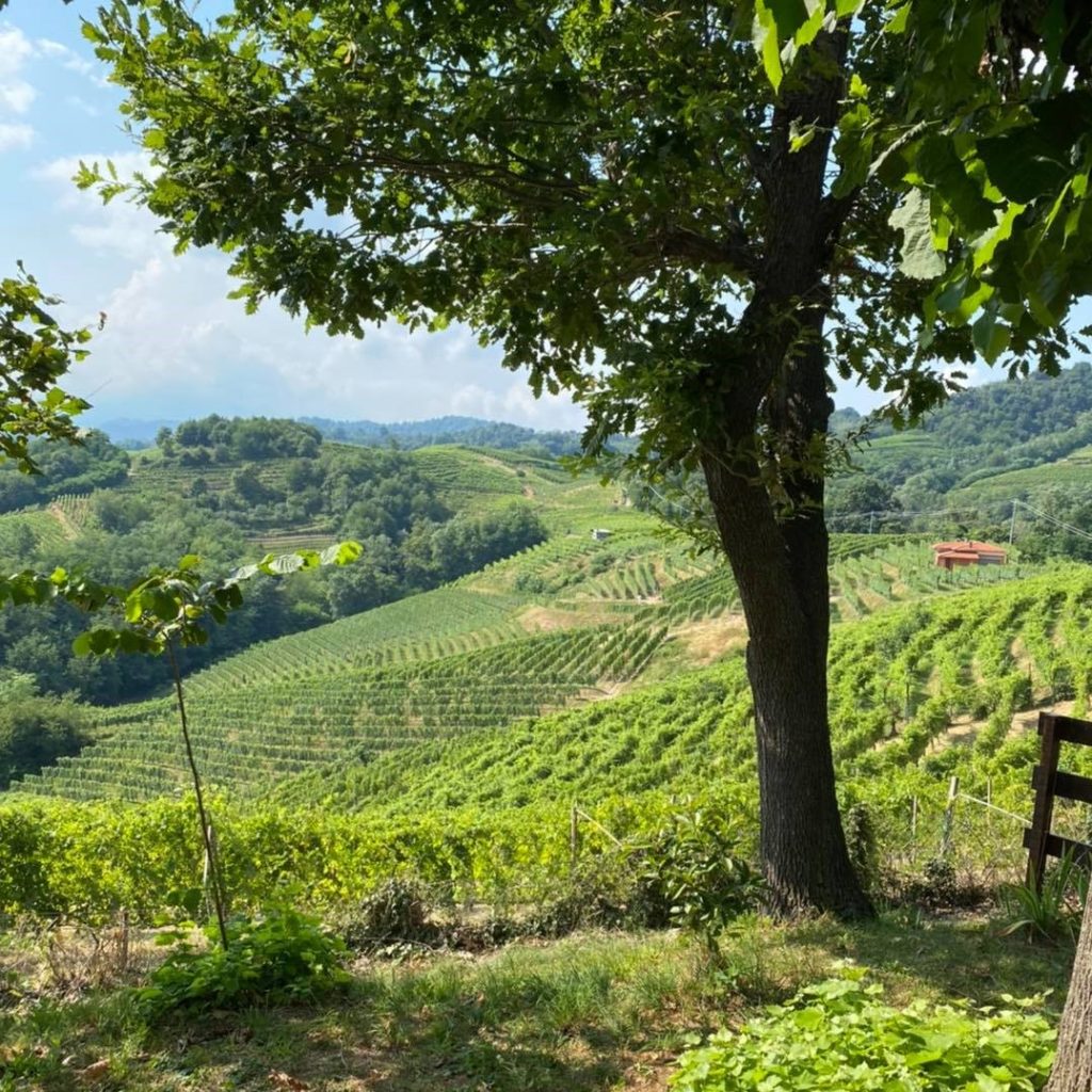 Il Chiosso Gattinara - Cantina Vini Alto Piemonte