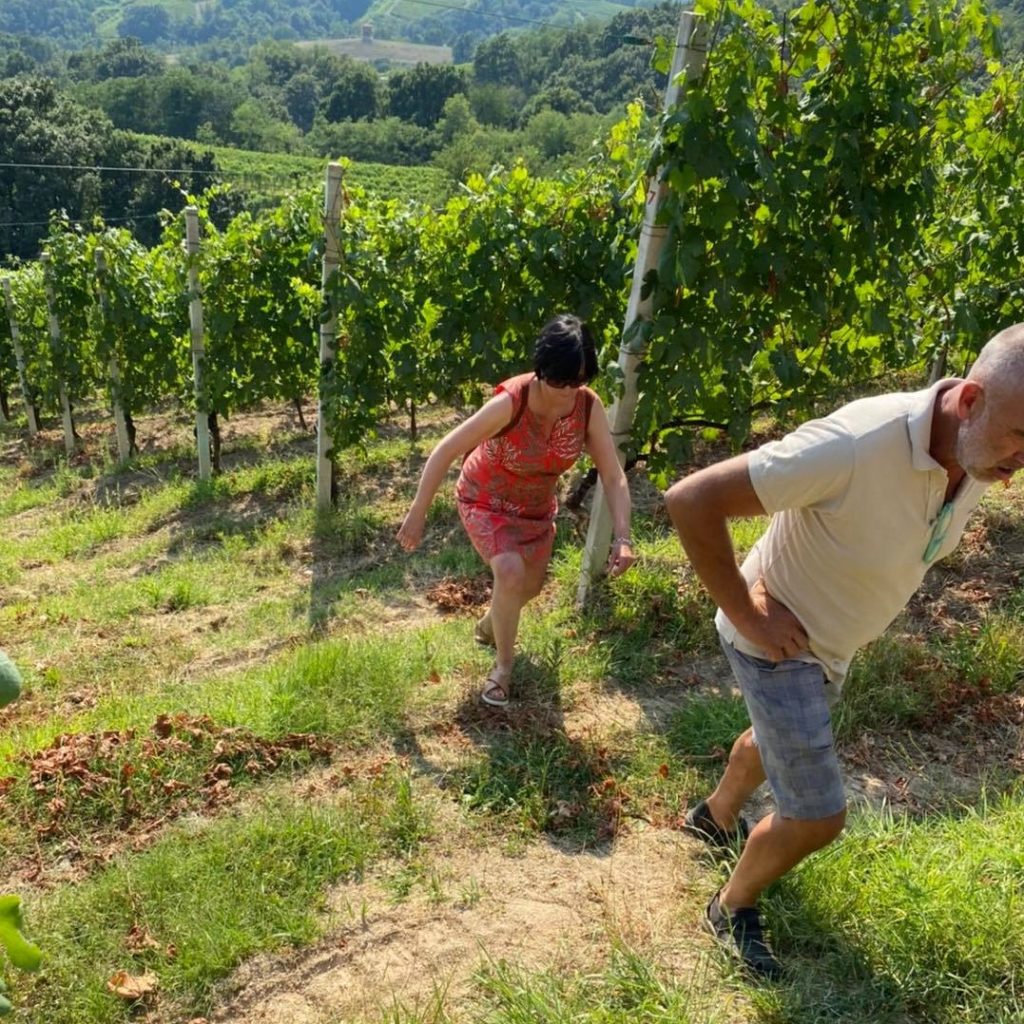 Il Chiosso Gattinara - Cantina Vini Alto Piemonte