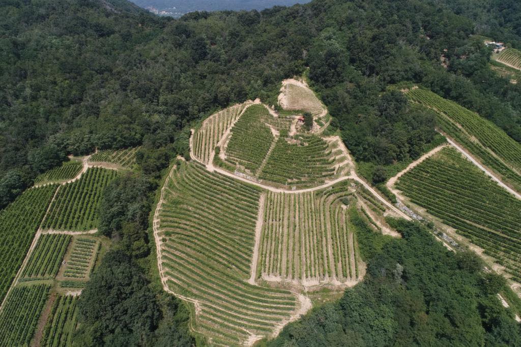 Il Chiosso Gattinara - Cantina Vini Alto Piemonte