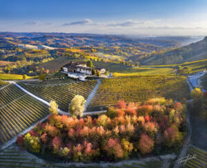 Elvio Cogno Wines