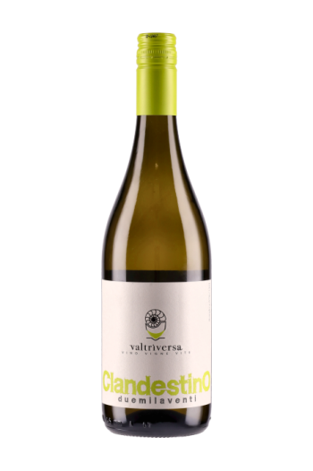 Valtriversa - Vino Bianco Clandestino
