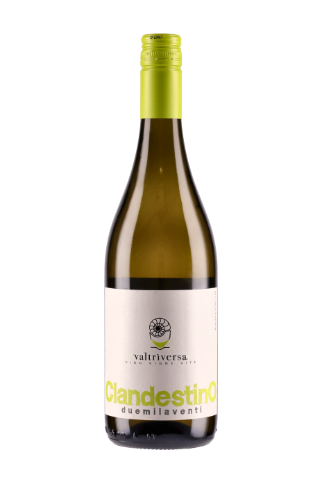 Valtriversa - Vino Bianco Clandestino