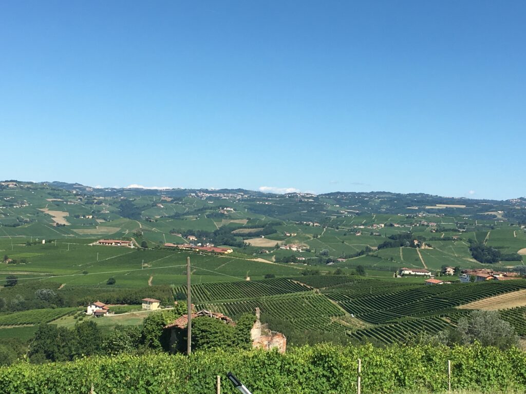 Monforte d'Alba oogst in Piemonte