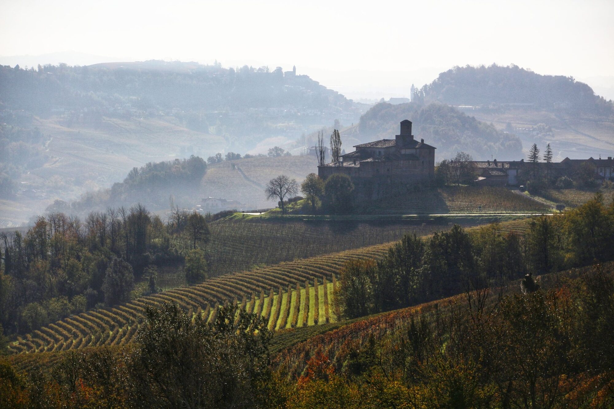 Wat brengt de oogst van 2025 in Piemonte?
