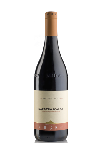 Barbera d'Alba "Bricco dei Merli" 2023 - Elvio Cogno