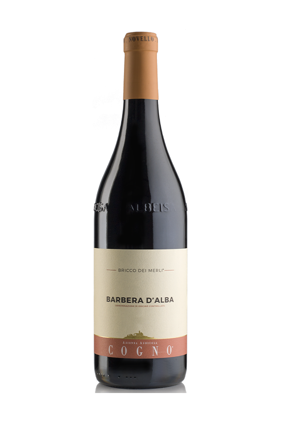 Barbera d'Alba "Bricco dei Merli" 2023 - Elvio Cogno