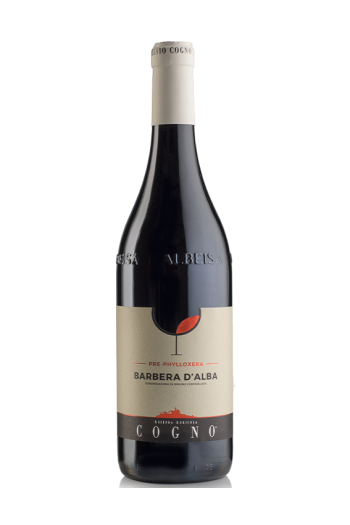 Barbera d'Alba "Pre-Phylloxera" 2023 - Elvio Cogno