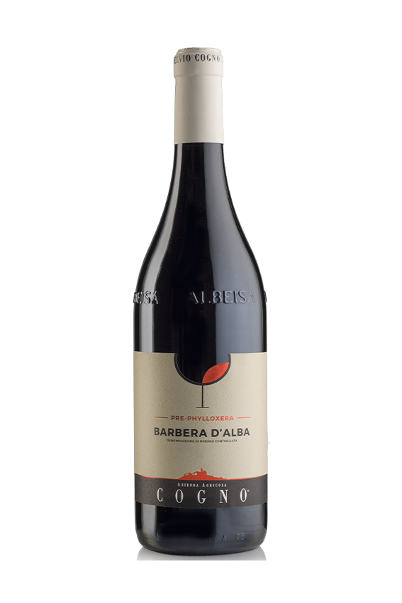 Barbera d'Alba "Pre-Phylloxera" 2023 - Elvio Cogno