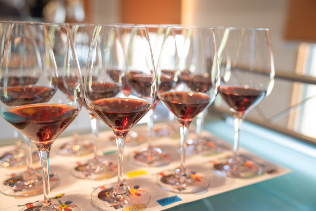 Barolo Primeur