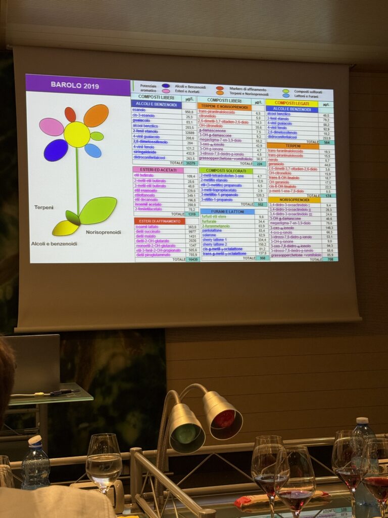 Enosis Meraviglia