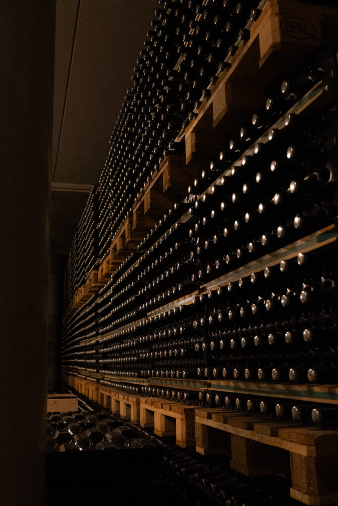 cellar deltetto