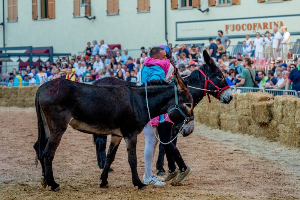 middeleeuwse stoet en ezelrace tijdens Palio degli Asini in Alba