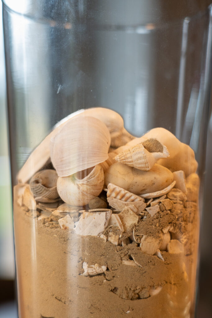 marine oorsprong bodem