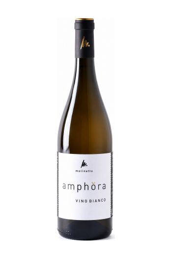 Amphôra Vino Bianco - Molinetto