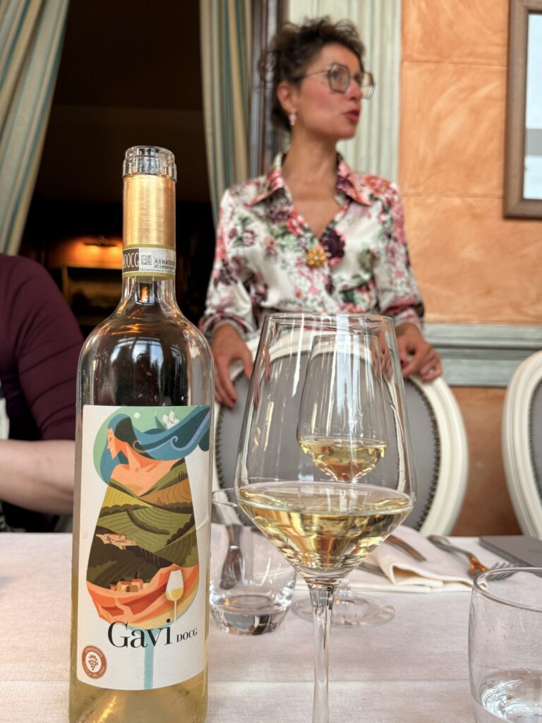 Gavi