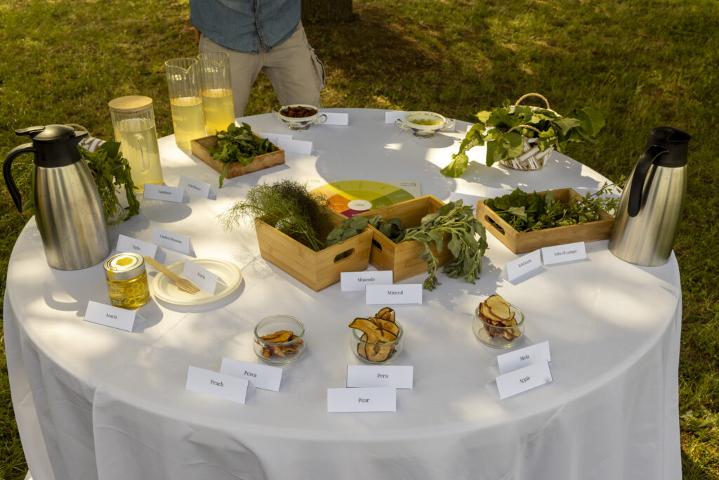 GAvi Tasting