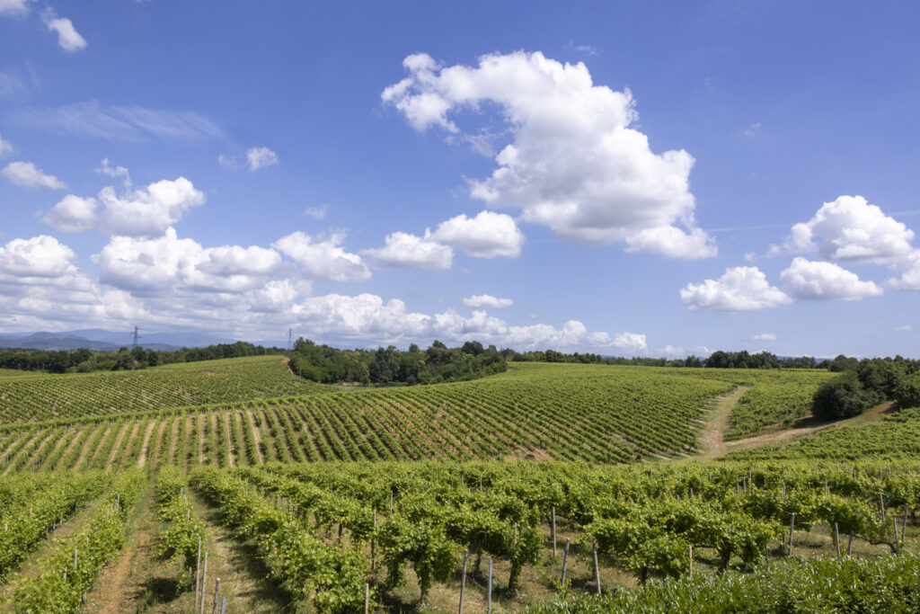 Gavi landscape