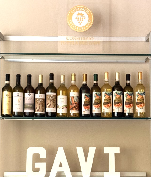 Gavi Consorzio