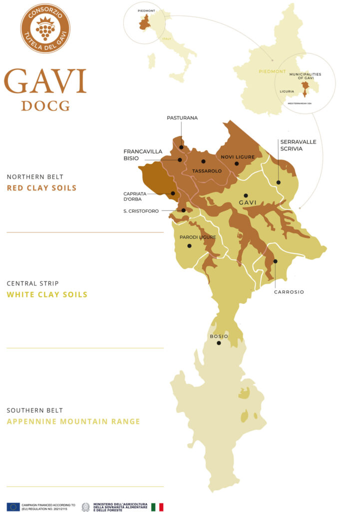 Gavi soils