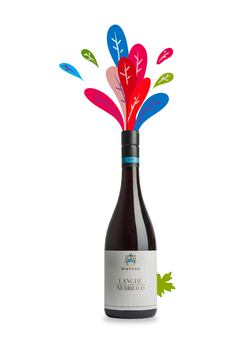 Langhe Nebbiolo Enrico Rivetto