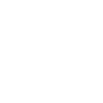 logo light
