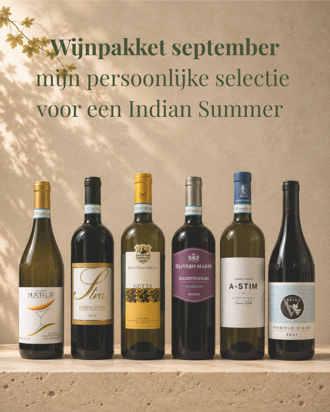 Wijnpakket September